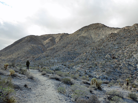 Moonlight Canyon trail