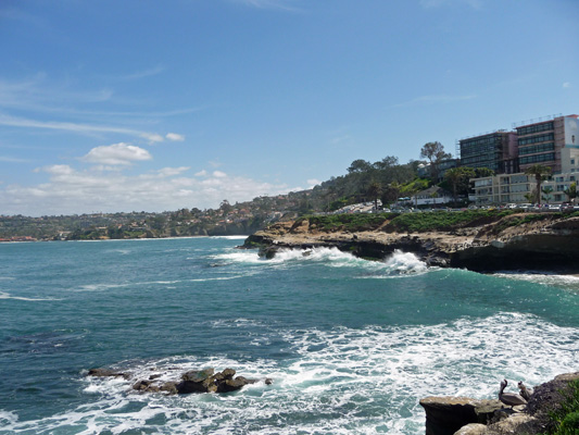 Surf in La Jolla Cove CA