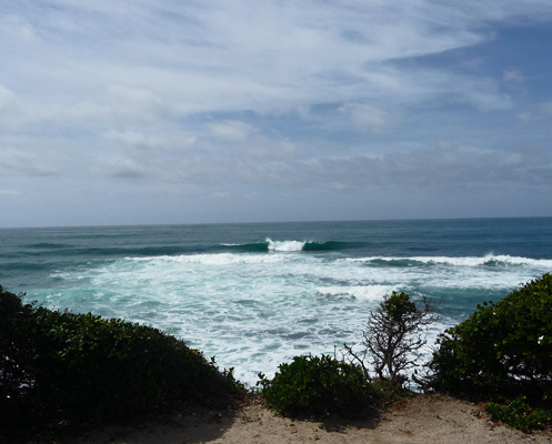 Surf La Jolla Cove area