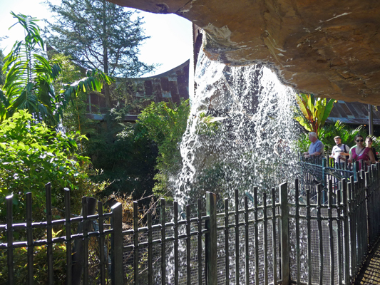 Waterfall Tiger habitat San Diego Safari park