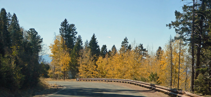 Fall color Santa Fe