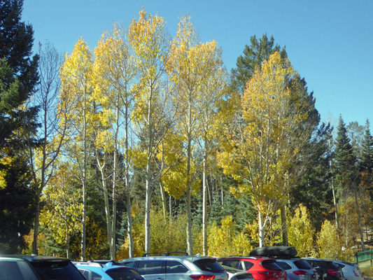 Aspen Vista