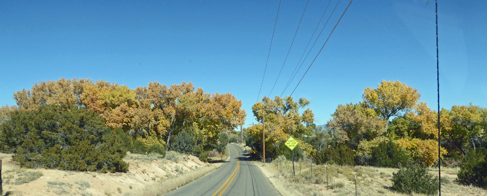 Fall color in Rio Grande Valley