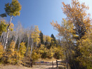 Santa Fe fall color