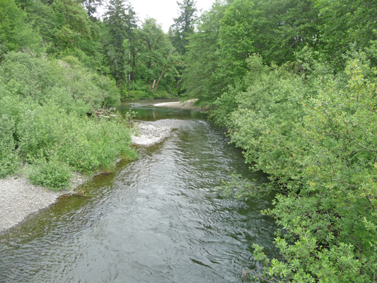 East Fork Satsop River Schafer State Park WA