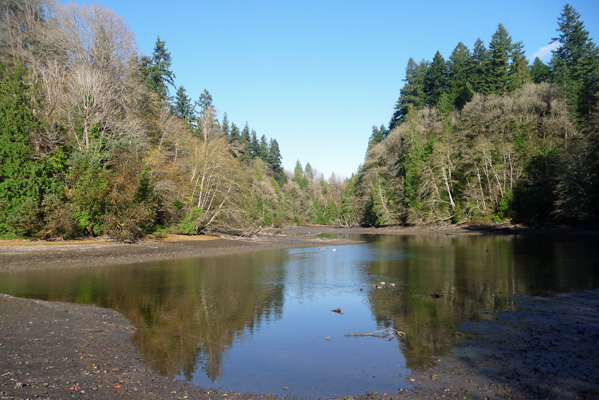 Creek at Priest Point Park Olympia WA