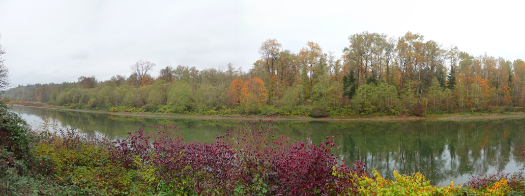 Skykomish River at Thunderbird RV Resort Monroe WA