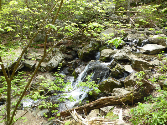 Below Dark Hollow Falls