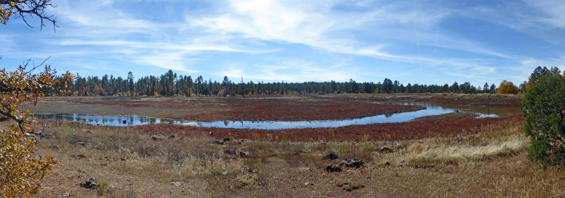 Woodland Lake Park