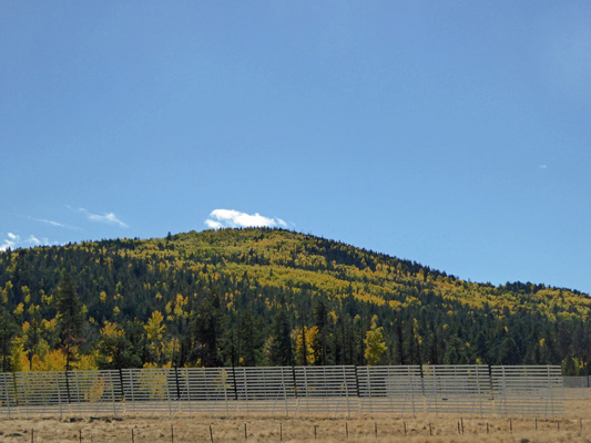 Hwy 260 AZ fall color