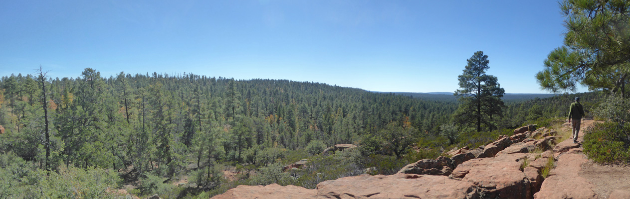 Mogollon Rim Trail view