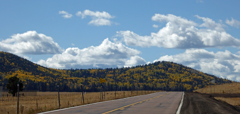 Hwy 260 AZ fall color