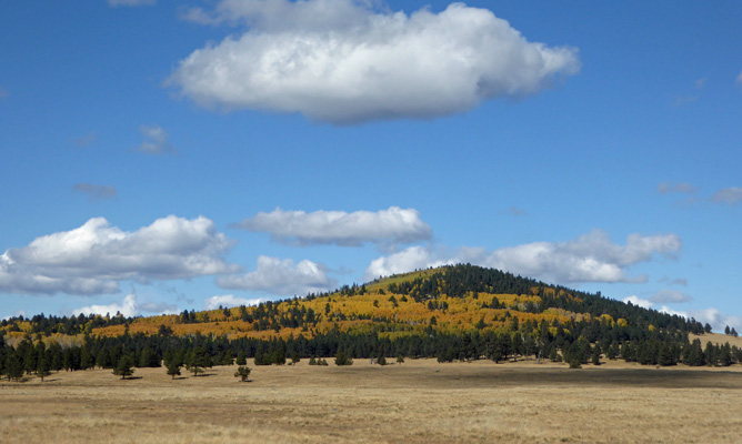 Hwy 260 AZ fall color