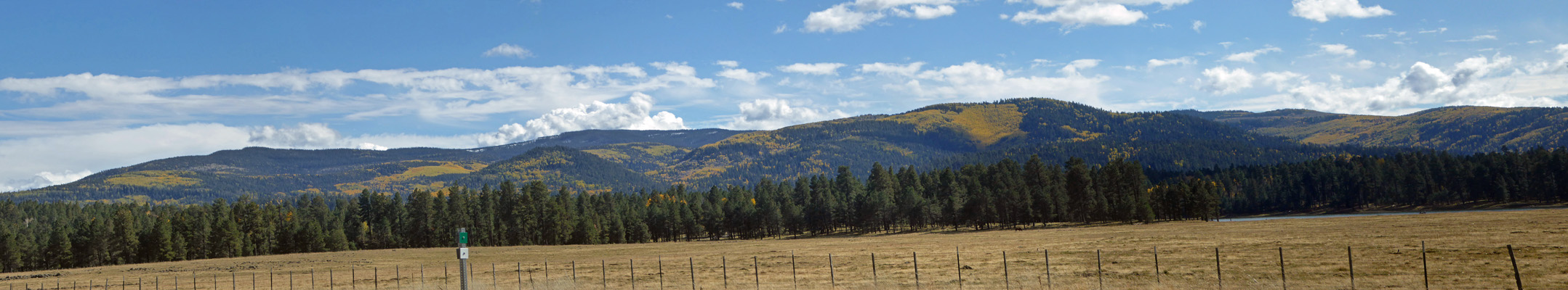 Hwy 260 AZ fall color