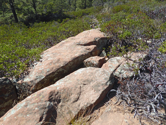 rocks and manzanita