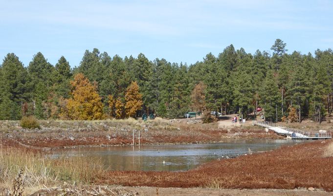 Woodland Lake Park