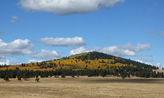 Fall color Hwy 260