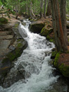 Silver Falls WA cascade