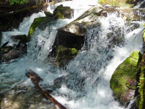 Cascade along Silver Falls Trail WA