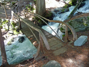 Bridge on Silver Falls Trail WA