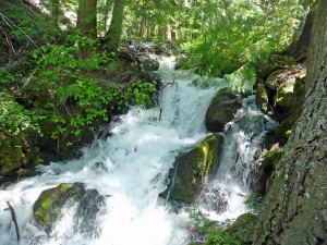 First cascade on Silver Falls Trail WA