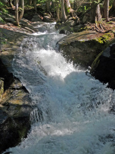 Cascade overflowing on Silver Falls Trail WA