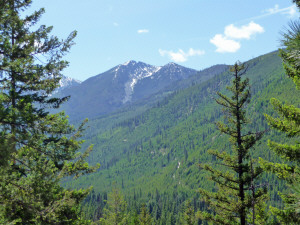 View of Entiat River Valley from Silver Falls Trail WA