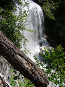 Silver Falls from Silver Falls Trail overlook 