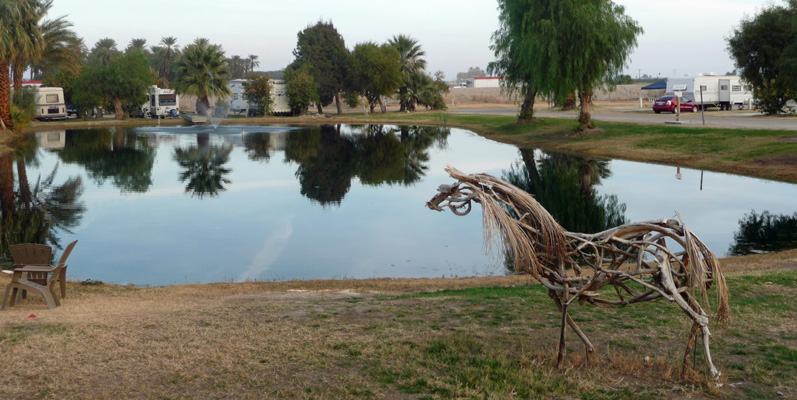 Palm frond horse Oasis Palms RV Park