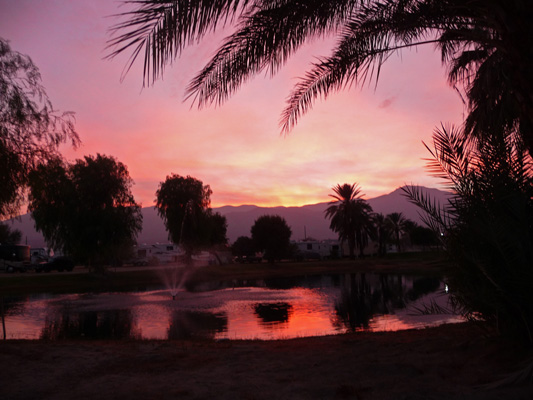 Sunset Oasis Palms RV Park CA