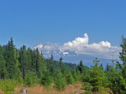 Mt. Adams from Peterson Prairie area