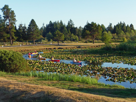 Kayaks on Silver Lake WA