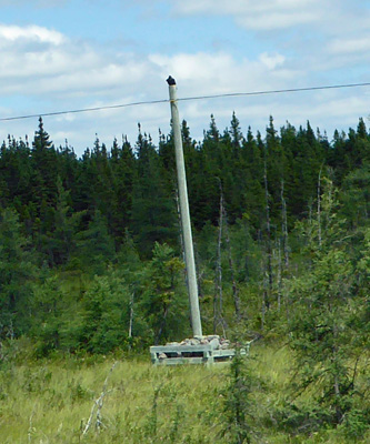 Telephone Pole in box of rocks