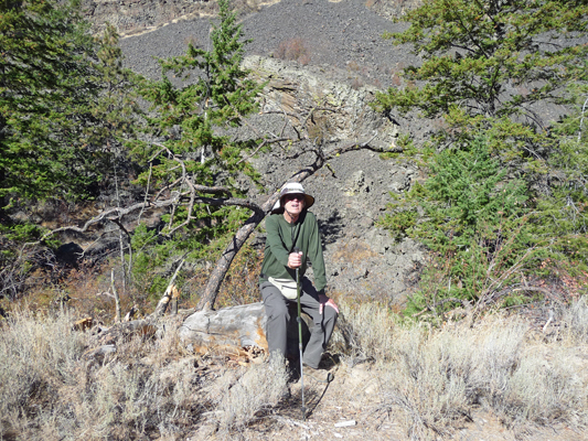 Walter Cooke Northrup Canyon 