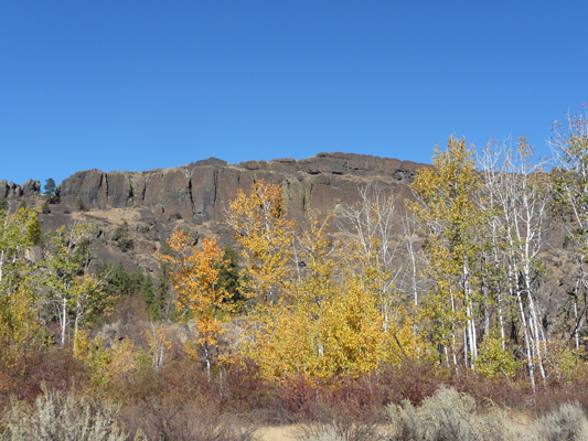 Fall color Northrup Canyon