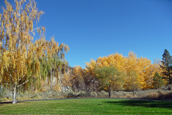 Northrup Pt fall color Steamboat Rock SP