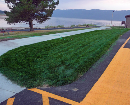 new sod at Sugarloaf boat ramp parking lot