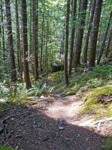 More uphill trail to Sunset Mine
