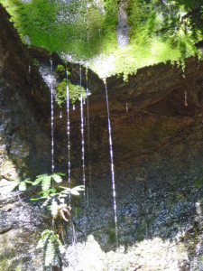 Fern Grotto inside Stope 1 Sunset Mine