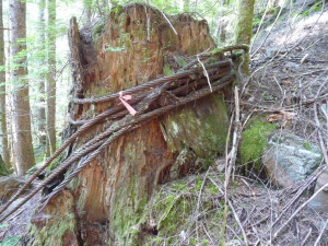 Logging Cable Sunset Mine Trail