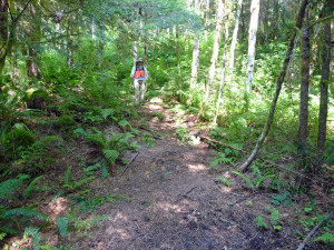 Trail up the hill to Sunset Mine