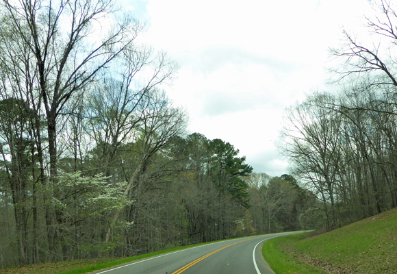 Natchez Trace Mississippi