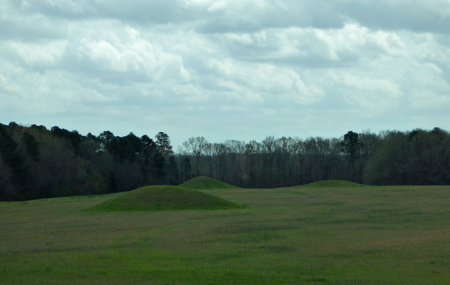 Pharr Mounds Natchez Trace MS