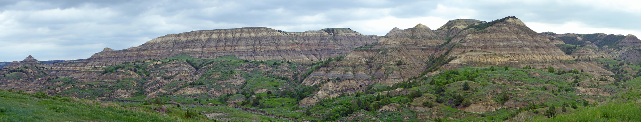 TRNP North Unit Badlands