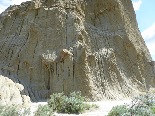 Cannonball Concretions