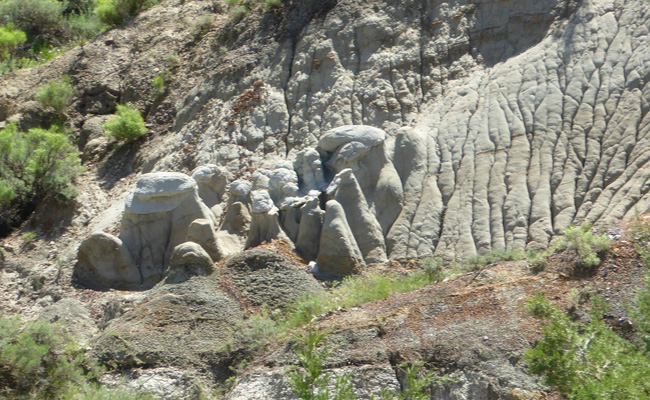 Caprock Coulee hoodoos