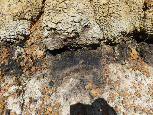 Lignite coal in badlands