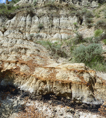 Lignite coal in badlands