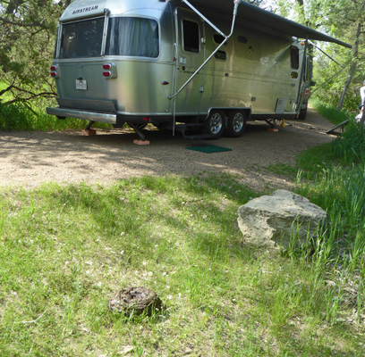 Bison pie and Airstream