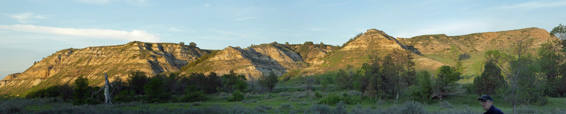 Roosevelt NP campground view